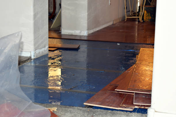 Professional Water Extraction technician working in Olton, TX